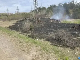 Около улицы Пихтовой в Братске проводят отжиг сухой растительности