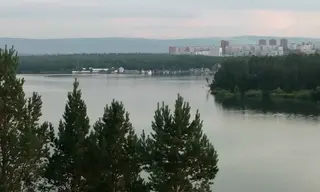 Содержание бактерий в воде Курчатовского залива Братского водохранилища выше нормы