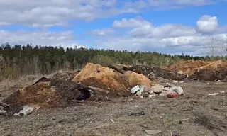 Судьбу старой свалки решают в Братске